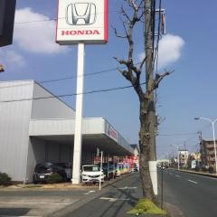 Ｈｏｎｄａ　Ｃａｒｓ静岡西浜松幸店