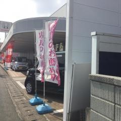 Ｈｏｎｄａ　Ｃａｒｓ静岡西浜松幸店