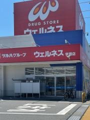 ドラッグストアウェルネス学園店