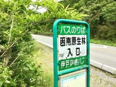 「函南原生林入口」バス停留所