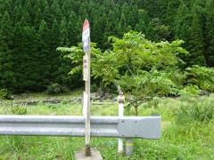 「下中村」バス停留所