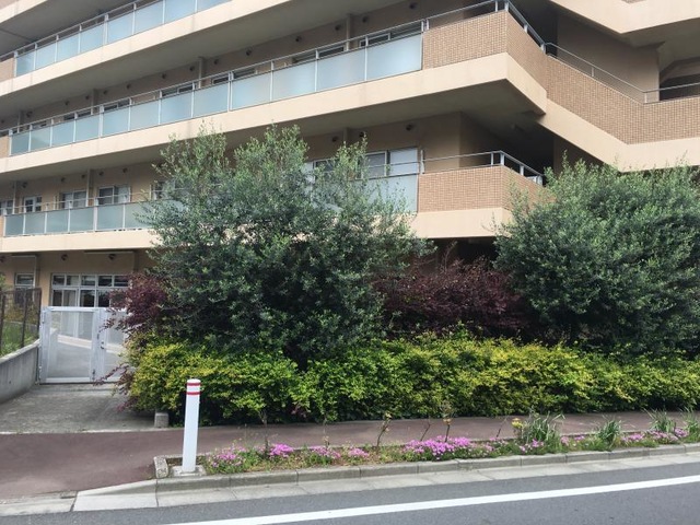 ブルーポピー 建物全景