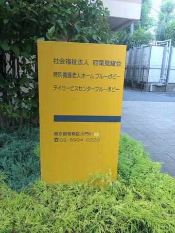 ブルーポピー