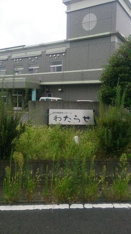 わたらせ