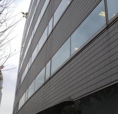 株式会社セルシス