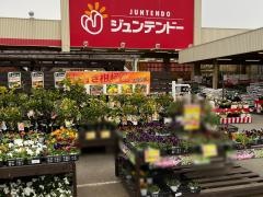ホームセンタージュンテンドー　柏原店