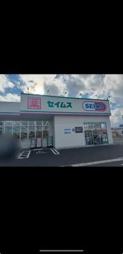 ドラッグセイムス　仙台若林4丁目店