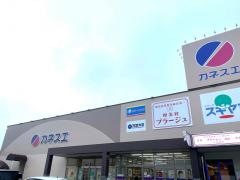 カネスエ中井田店