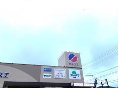 カネスエ中井田店