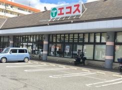 エコス真岡荒町店