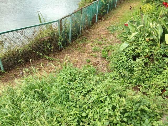 施設写真9