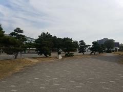 アジュール舞子（舞子東海浜緑地）