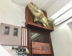 匯庵