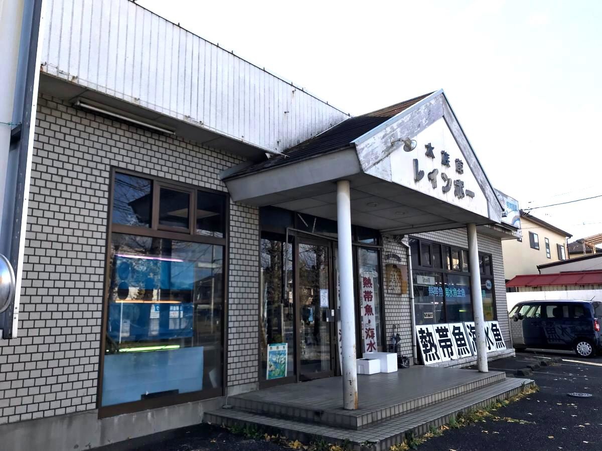 レインボー