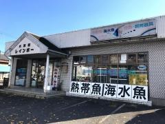 レインボー