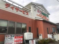 ハーブ内科皮フ科