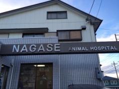 ナガセ動物病院