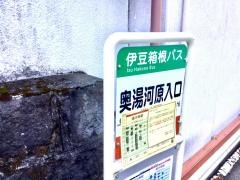 「奥湯河原入口」バス停留所