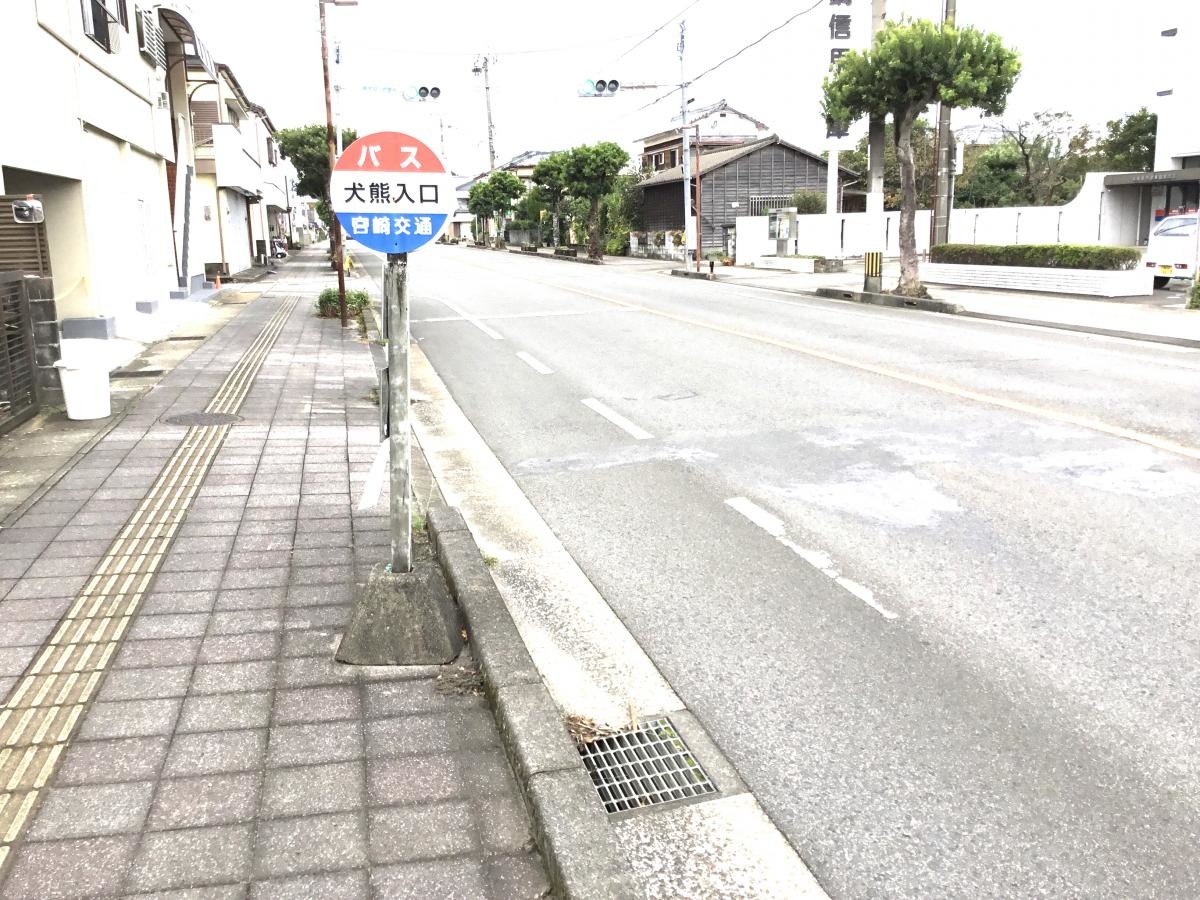 全景です。