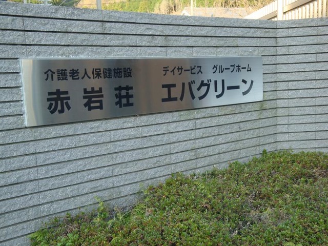 エバグリーン