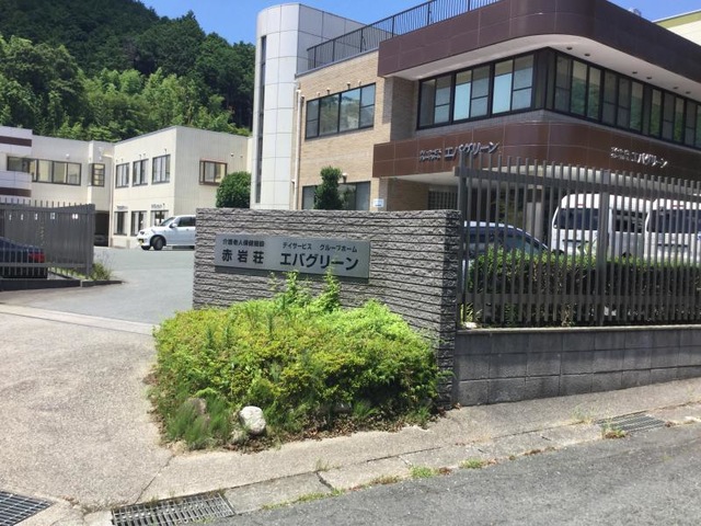 エバグリーン
