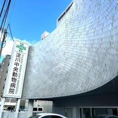 淀川中央動物病院