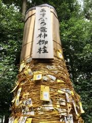 下野　星宮神社