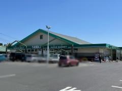 セイブ金砂郷店