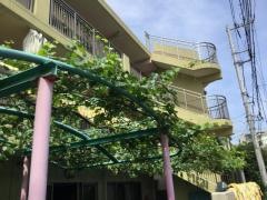 さくら学園保育所