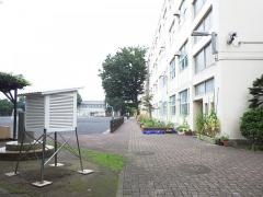 元石川小学校