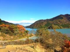 宮ヶ瀬湖畔園地