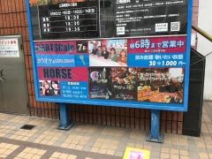 ダーツカフェホース