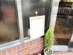 まつお