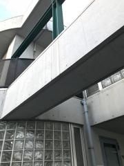 さくらい整骨院