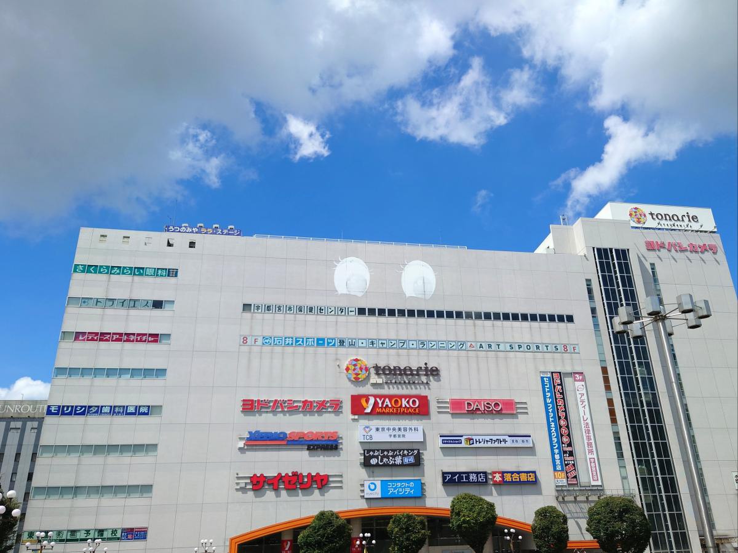 活動歴および当時の関連ビジュアル記録