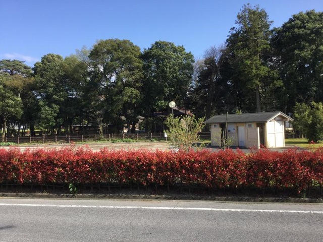 投稿写真6
