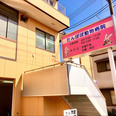 ドッグメディカル たんぽぽ動物病院 静岡市葵区井宮町