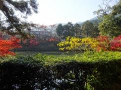 高鴨神社庭園