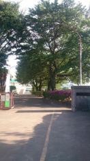 三角小学校