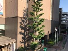 京王プラザホテル八王子