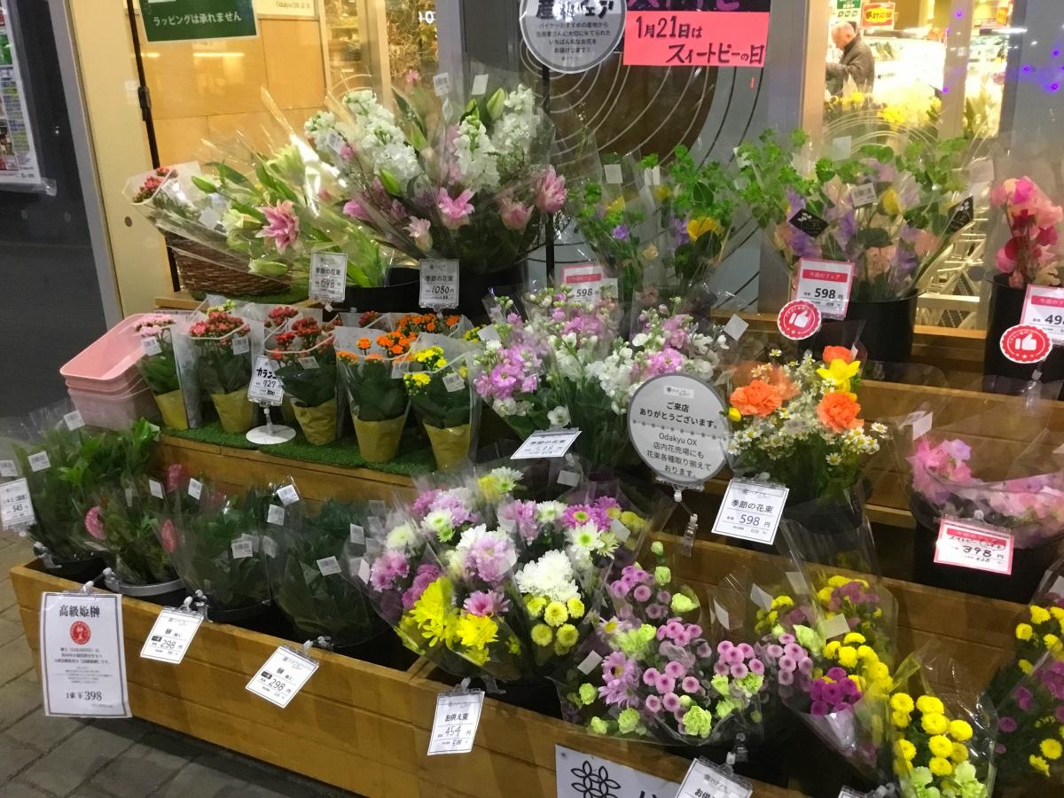 お花も