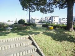 天白第二緑化木公園