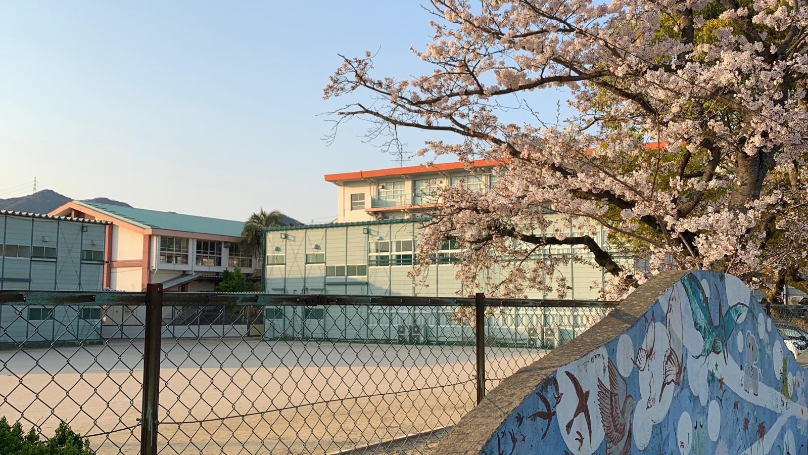 吉田小学校の施設外観