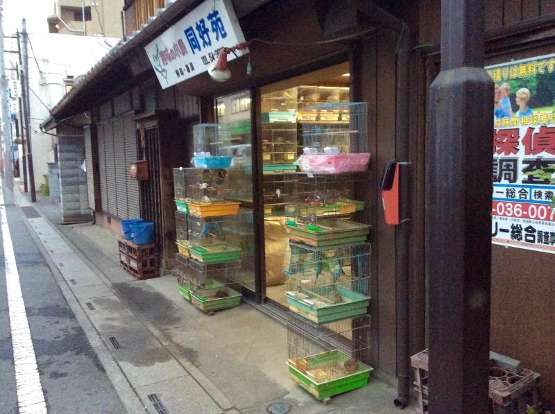 同好苑  小鳥屋さん