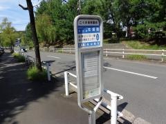「こぐま保育園前」バス停留所