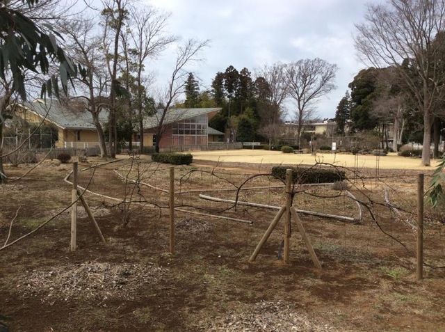 ユーカリ優都ぴあ 施設外観