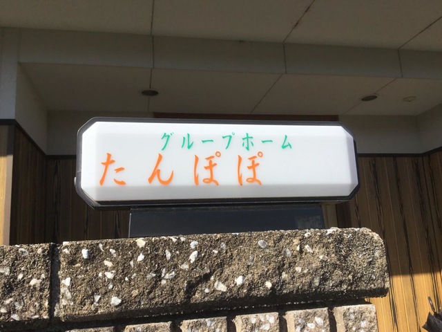 たんぽぽ