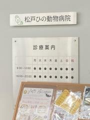 松戸ひの動物病院