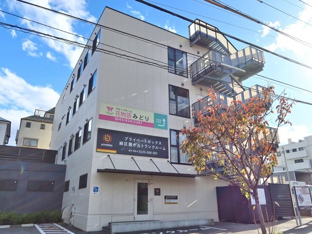 花物語みどり