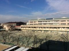 桜木小学校